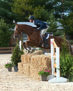 Ryan Genn, at a horseshow here, is an equestrian studies major at Savannah College of Art and Design. He plans to pursue a career as a professional trainer after graduating and spending some time training in Germany.  (Contributed photo)
